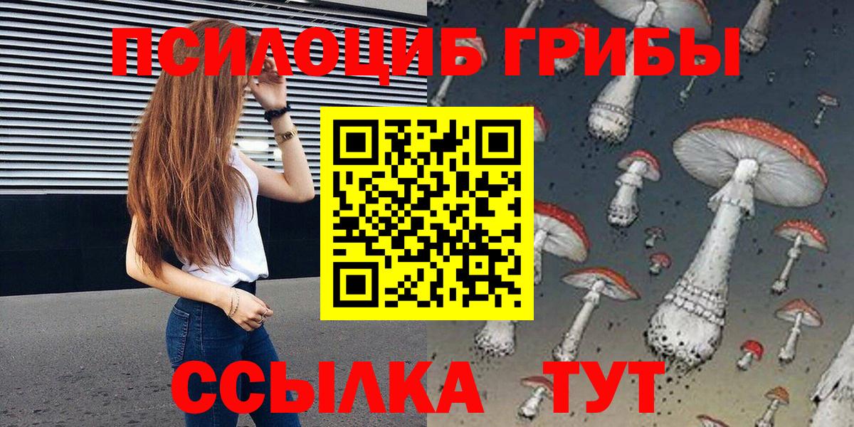Псилоцибиновые грибы MAGIC MUSHROOMS Каменск-Уральский